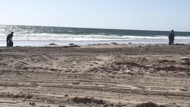 Two guys riding segways on beach