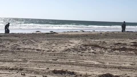 Two guys riding segways on beach