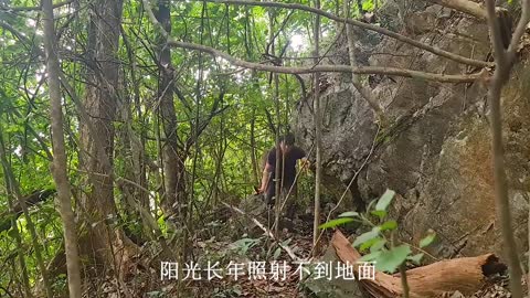 Episode 22 Brother Forest Survival in the Wild, Encountered Missteps in the Mountains