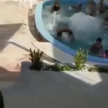 Here Come the Megalodon