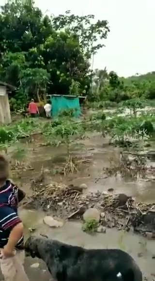 Desbordamiento de un río en Bolívar, Santander, deja damnificadas a varias familias