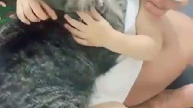 Cats and baby funny vídeos the best.
