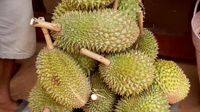 Durian King Of fruit