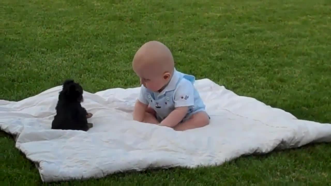 Baby playing with cuddly dog