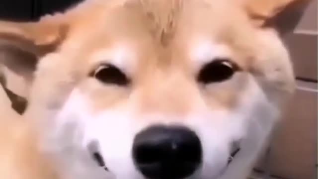 It's nice of you to laugh