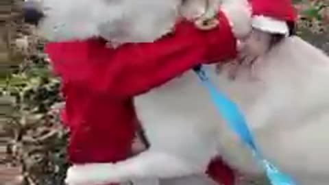 Mom Secretly Adopts A Shelter Dog Her Daughters Fell In Love With