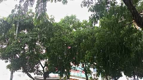 Heavy rainfall in my city