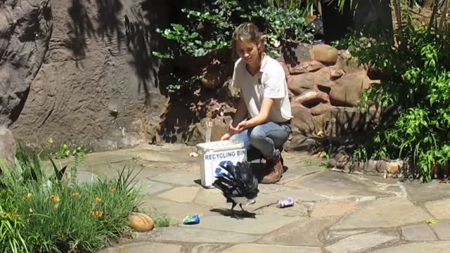 Umgeni River Bird Park - Durban, South Africa