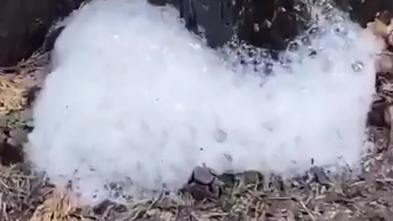 The rain in this Croatian village is causing foam to form underneath the trees because the sky has