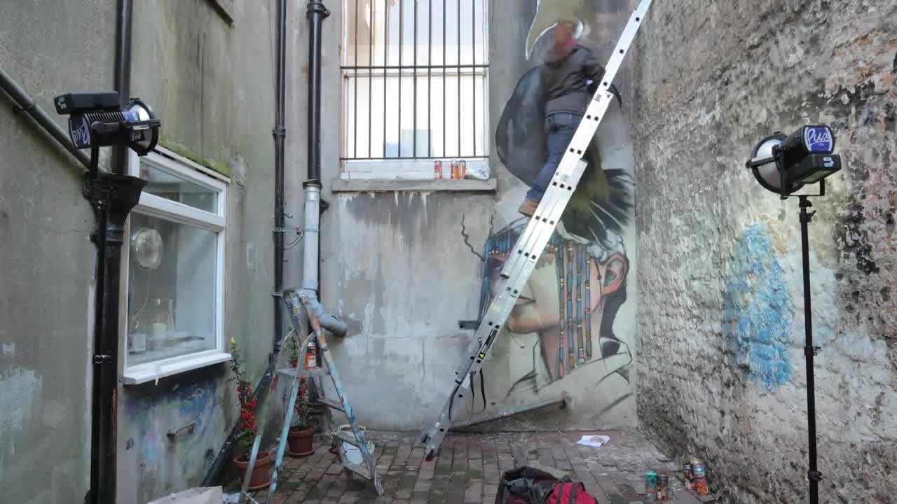 Street Art Inspired by Nature | Faunagraphic | Meet My Planet | BBC Earth