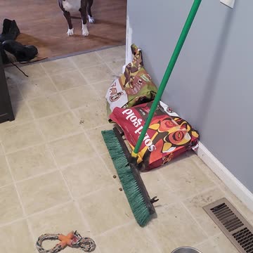 Can't even do the dishes without getting yelled at.