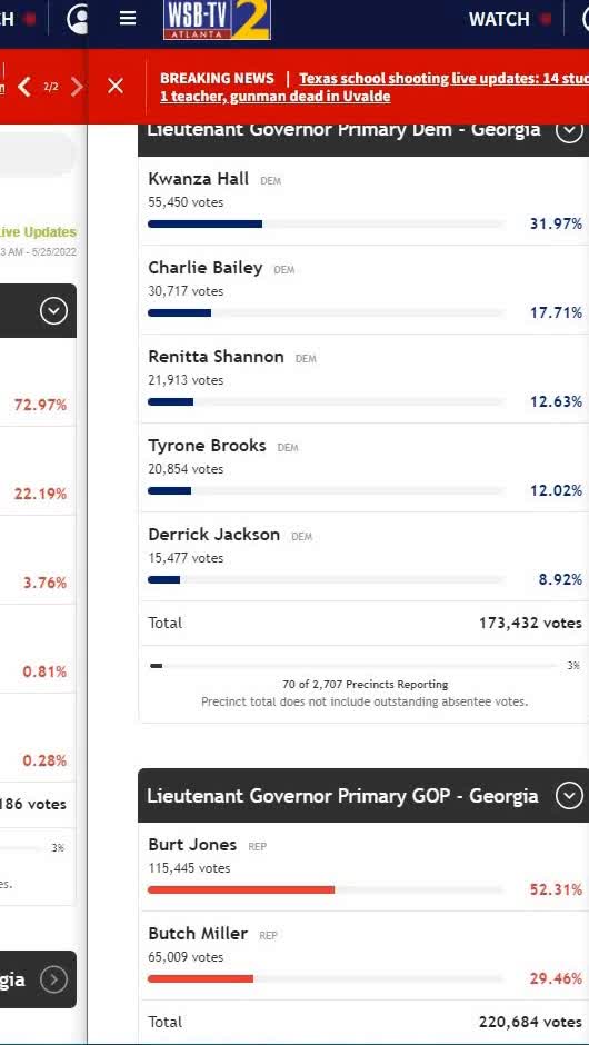 Global wide Election fraud voting machine crime network - Georgia gop/dem lt gov theft