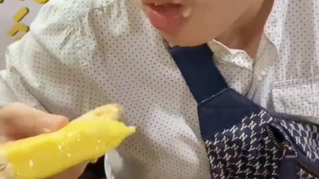 the sandwich