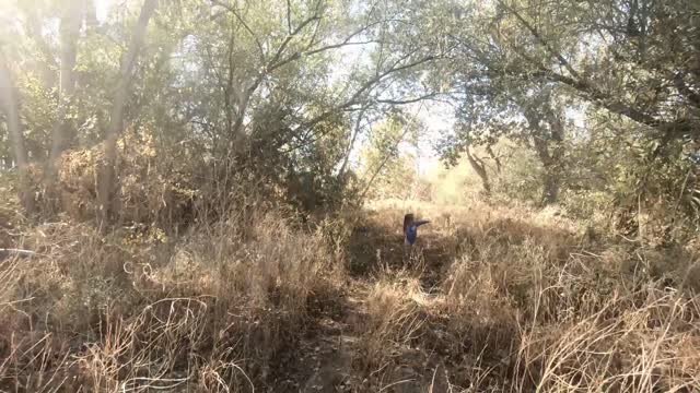 The Spider Hunt