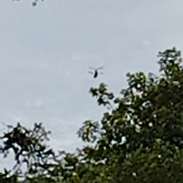 Military Just Now just caught it