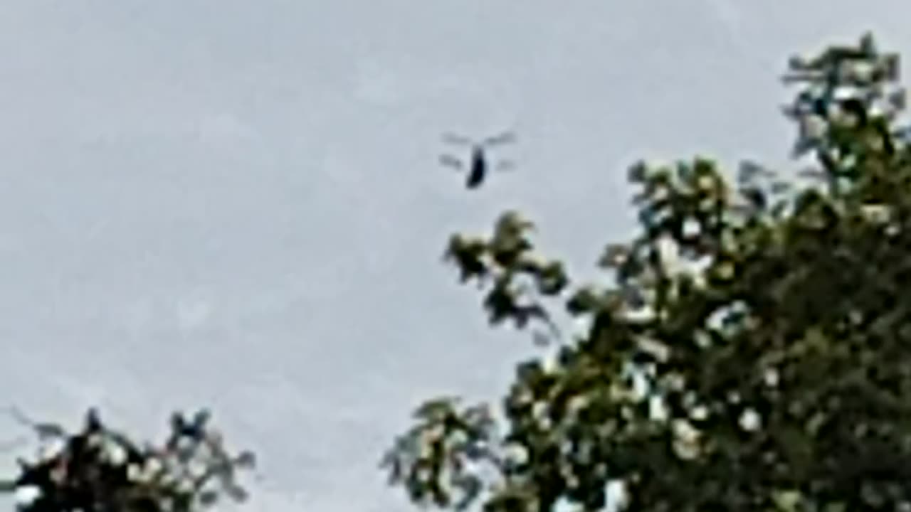 Military Just Now just caught it