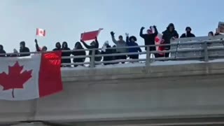 Canadians Cheer on Truckers' "Freedom Convoy" Protesting Mandates