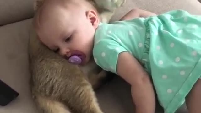 Cat washes daughter