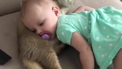 Cat washes daughter