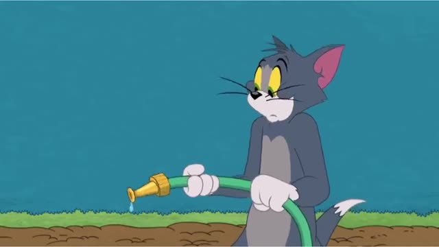 Tom and Jerry funny video