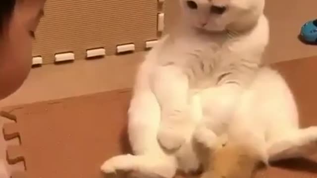 what?