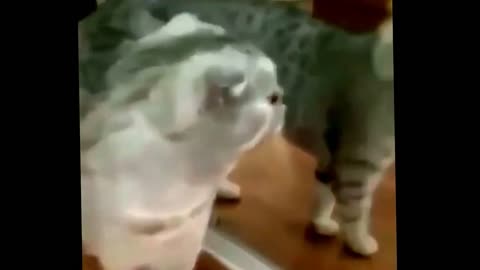 Cuando te levantas y te miras al espejo...