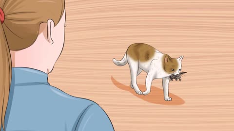 HACK STOPS CAT FROM KILLING ANIMALS, IT WORKS!!!@