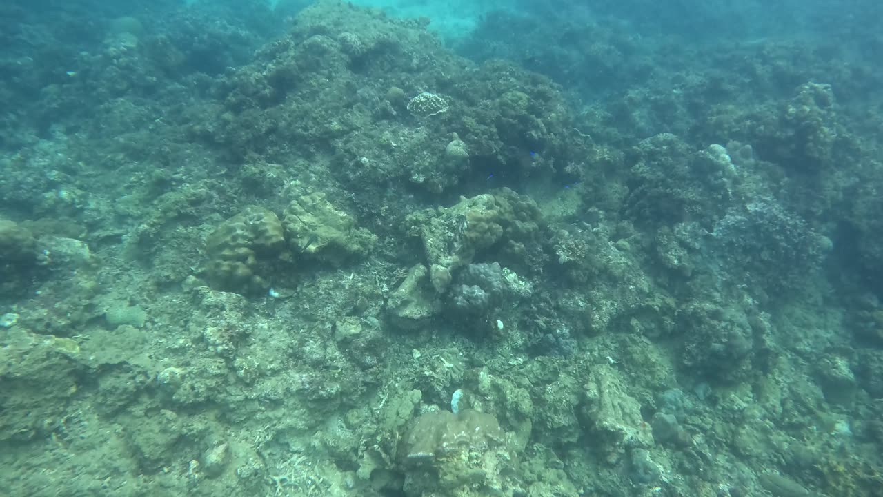 Snorkeling Day: Jasaan, Misamis Oriental