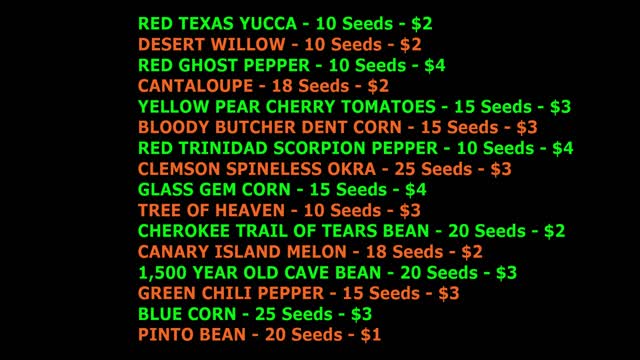 Preparing For SHTF