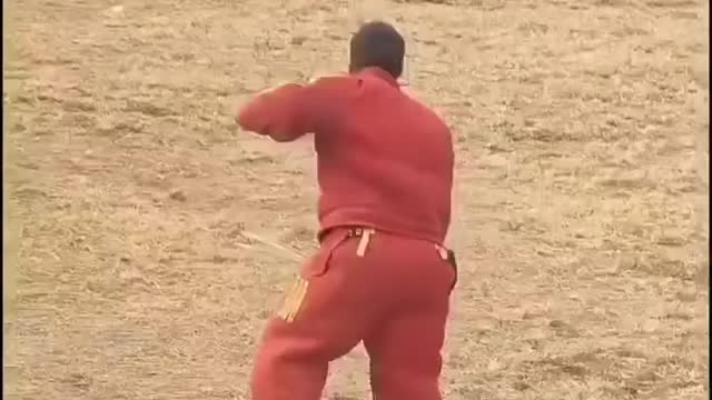 Dog training video