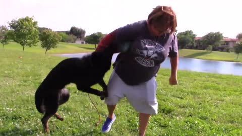 Check out my Dog training