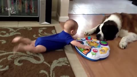 Cute baby and dog video.