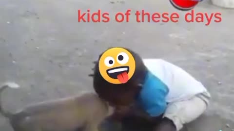 Funny videos