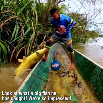 Prepare to be amazed by this little boy's catch!.hd #USA #Canada #germany