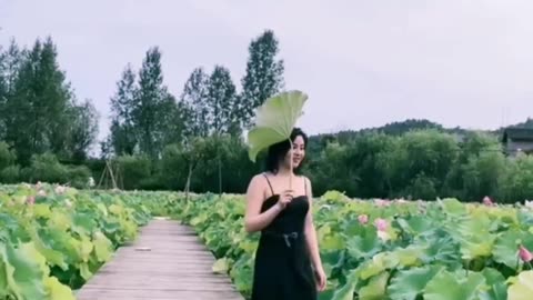 Funny videos scene