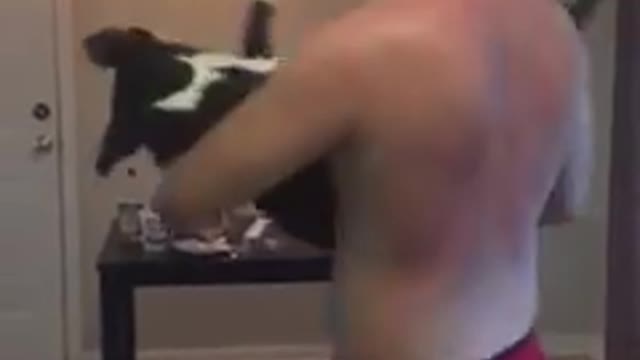 Owner slow dances with his dog in the kitchen