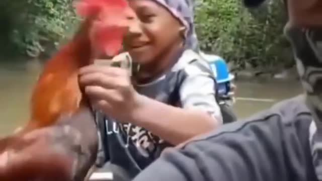 Are this funny _-_ cock funny video