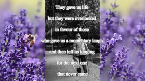 Someday (We'll Look Back and See)