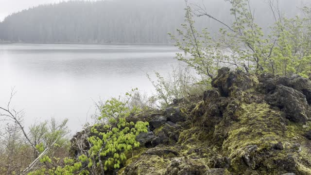 Circumnavigating the Scenic Clear Lake Loop – Central Oregon – 4K