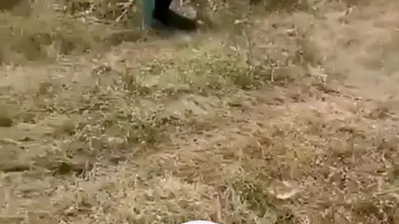 Ghode ka Malik hai uske beta usko pata chala