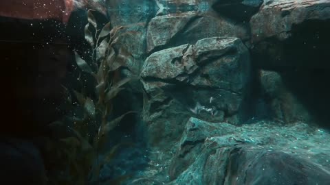 Relaxing Music | Sleeping, Meditation, Stress Relief | [1578] ⭐️