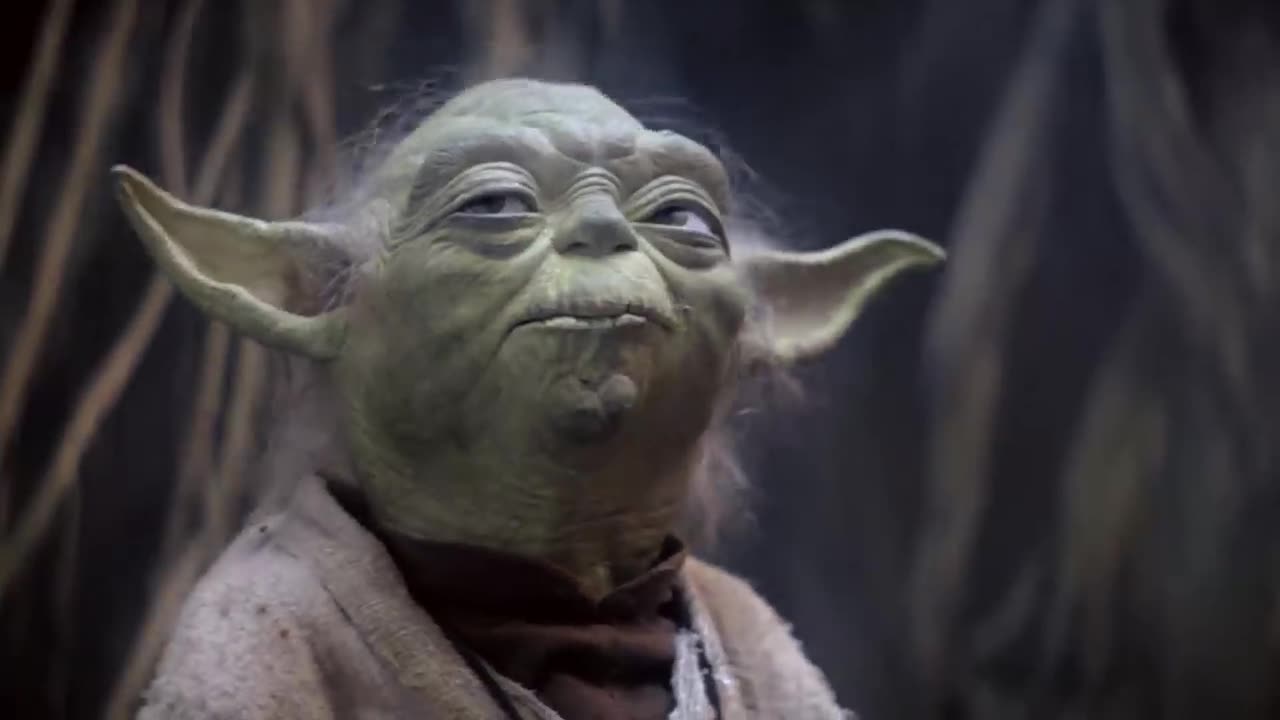 Yoda Star Wars - Seagulls Lip Sync - Reloaded