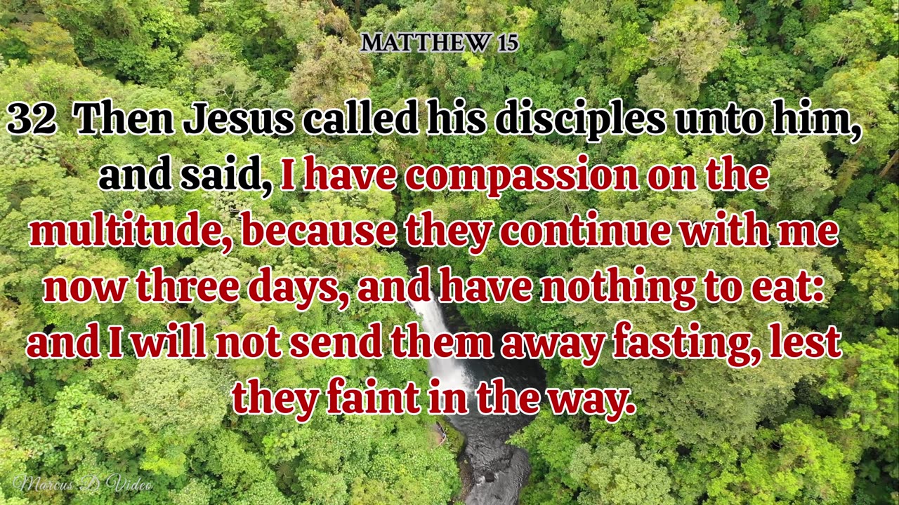 The Gospel of Matthew 15