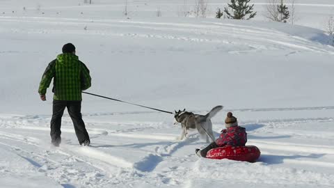 Father and son playing in the snow