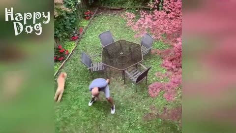 FUN WITH ANIMALS Funny Animals Dogs Funny Cats Fun with cats Funny Animals