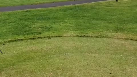 If you laugh you restart 😂😂🤣 #viral #shorts #fails #funny #fail