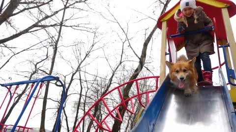 Girl With The Dog On A Playground