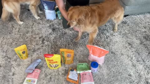 Finding the best dog treat!