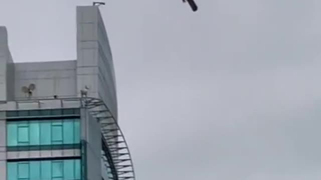 Bird stuck in mid-air