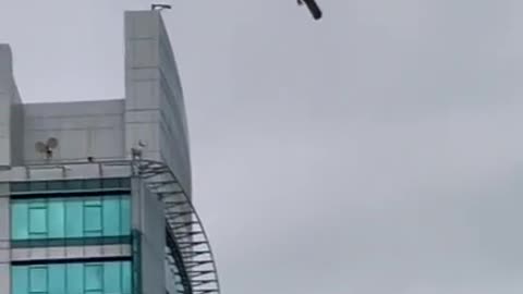 Bird stuck in mid-air